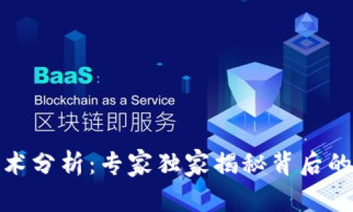 数字货币技术分析:专家独家揭秘背后的秘密和趋势