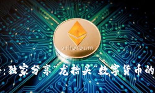 专家揭秘:独家分享“龙抬头”数字货币的投资秘诀