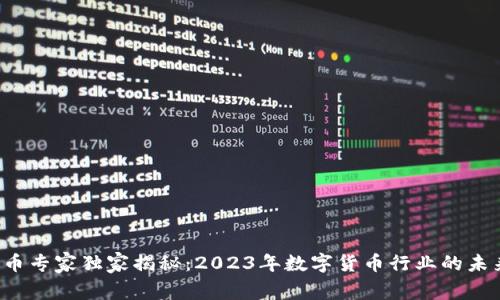 数字货币专家独家揭秘：2023年数字货币行业的未来秘诀！