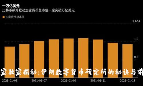 专家独家揭秘：伊朗数字货币研究所的秘诀与前景