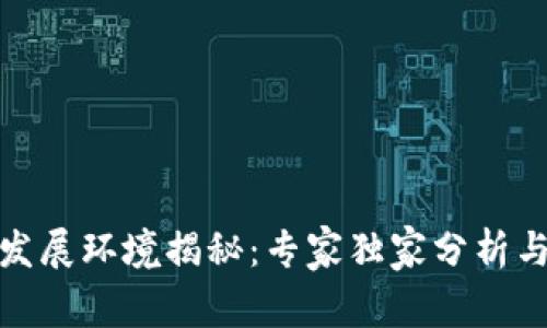 数字货币发展环境揭秘:专家独家分析与成功秘诀