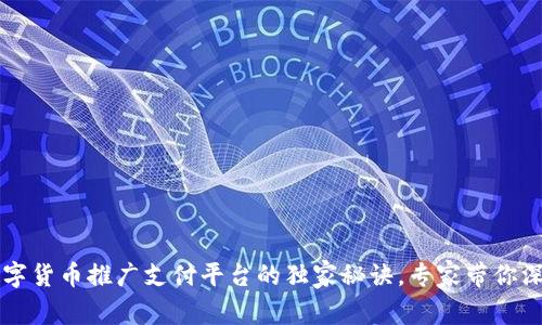 重庆数字货币推广支付平台的独家秘诀,专家带你深入了解