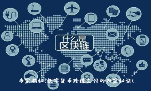 专家揭秘:数字货币跨境支付的独家秘诀!
