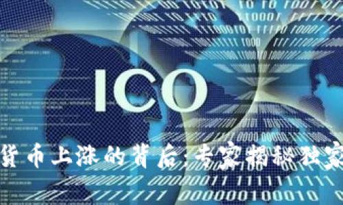 数字货币上涨的背后:专家揭秘独家秘诀