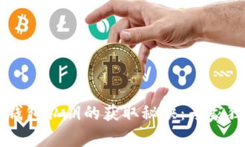 以太坊钱包私钥的获取秘诀:专家独家解析