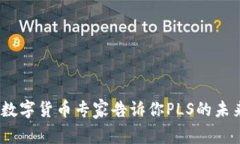 独家揭秘：数字货币专家告诉你PLS的未