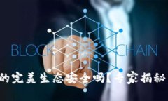 数字货币的完美生态安全吗？专家揭秘
