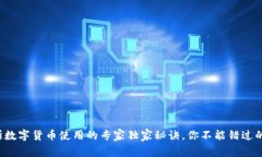 俄罗斯数字货币使用的专家独家秘诀，