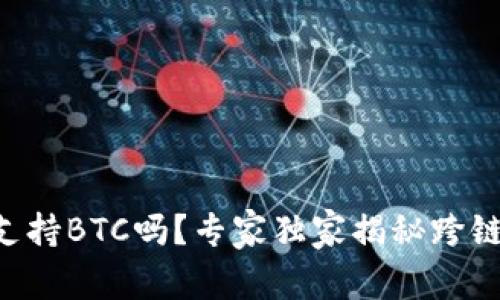以太坊钱包支持BTC吗？专家独家揭秘跨链钱包的秘密！
