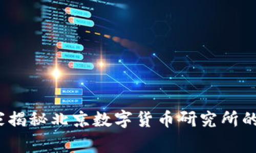 专家揭秘：独家揭秘北京数字货币研究所的未来发展秘诀