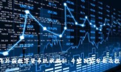 2023年外国数字货币现状揭秘：专家独