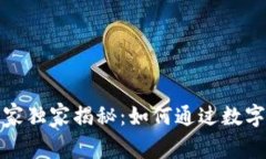 数字货币网站建设专家独家揭秘：如何
