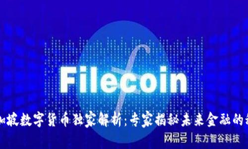新加坡数字货币独家解析:专家揭秘未来金融的秘密