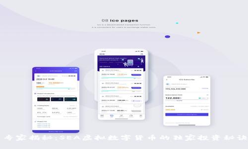 专家揭秘：SEA虚拟数字货币的独家投资秘诀
