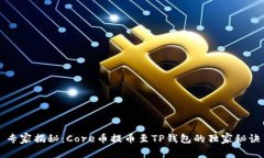 专家揭秘：Core币提币至TP钱包的独家秘诀