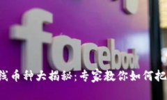 TP钱包新上线币种大揭秘：专家教你如何把握投资